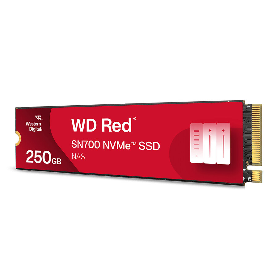 1 tb ssd disk wd red sn700 nvme sandisk