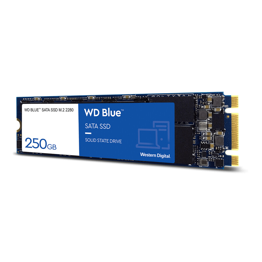 250gb wd blue sata ssd m.2 2280 sandisk